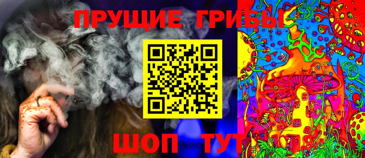 где купить наркотик  Галлюциногенные грибы Psilocybine cubensis  Вход с VPN  Фрязино 